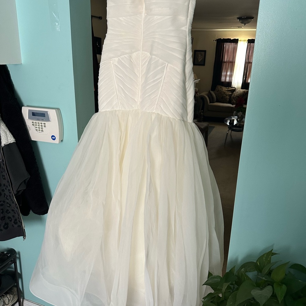 Reselling Wedding dress. Small tear in the train needs to be dry cleaned.